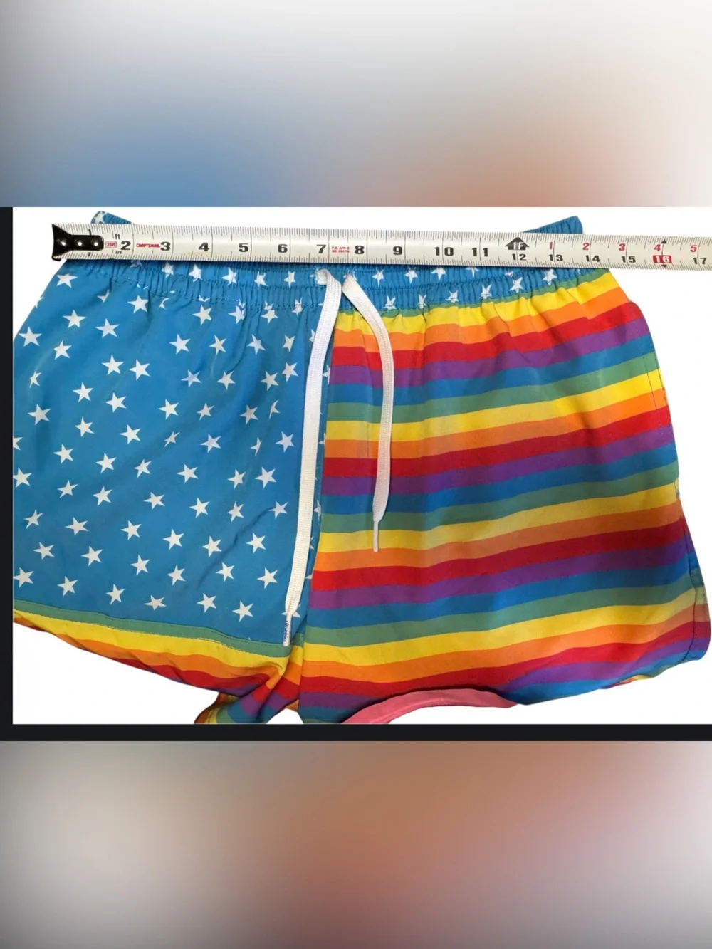EUC Chubbies “Love is Love” Mens Swim Trunks  Shortie 4 Inch Pride Rainbow Short